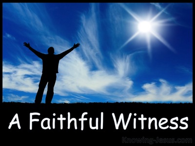 A Faithful Witness